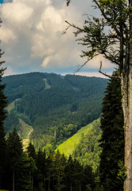 Carpathian, Bukovel, burn, orman