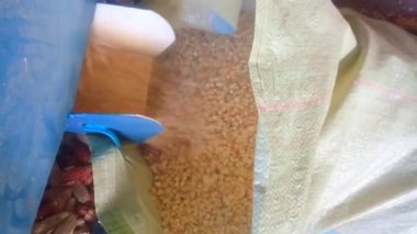 Bütün mısır taneleri mısır kabuğu makinesinden hızlıca çuvala dökülüyor, görüntüler. Parçalayıcı. Darı dolmak üzere. Çıktı. Makine kullanımda iken gürültü ses ile video klip.