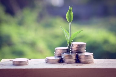 Para ve el ile filtre etkisi retro vintage tarzı ile bitki