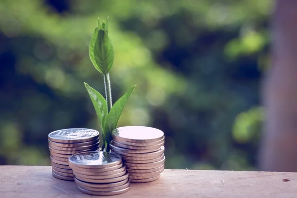 Money and plant with hand with filter effect retro vintage style — Stock Photo, Image