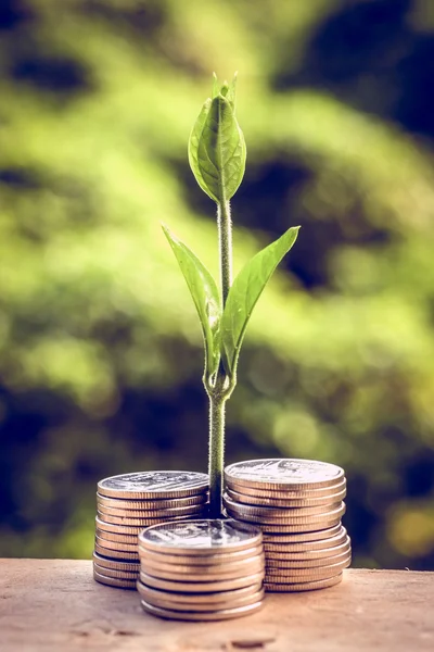 Money and plant with hand with filter effect retro vintage style — Stock Photo, Image