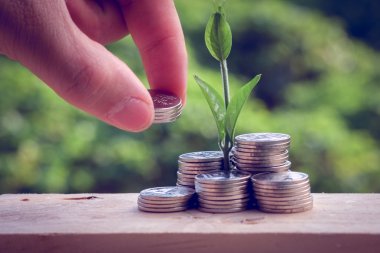 Para ve el ile filtre etkisi retro vintage tarzı ile bitki