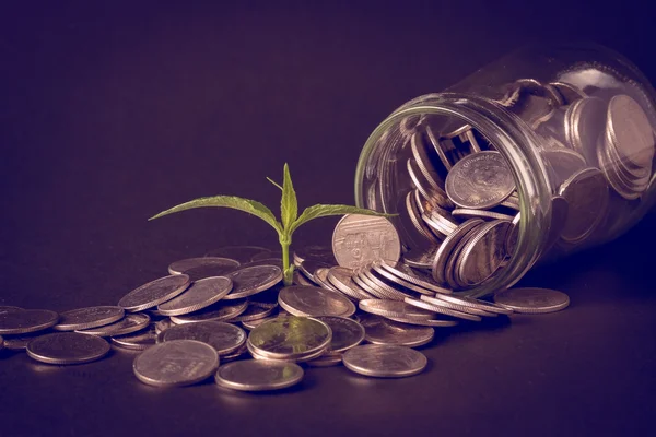 Plant growing out of coins with filter effect retro vintage style — Stock Photo, Image