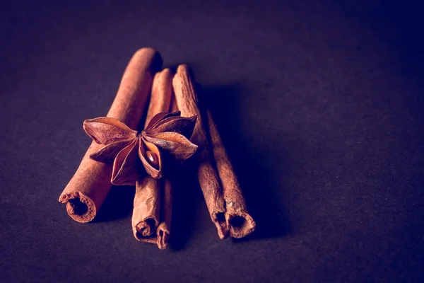 Cinnamon sticks with filter effect retro vintage style — Stock Photo, Image