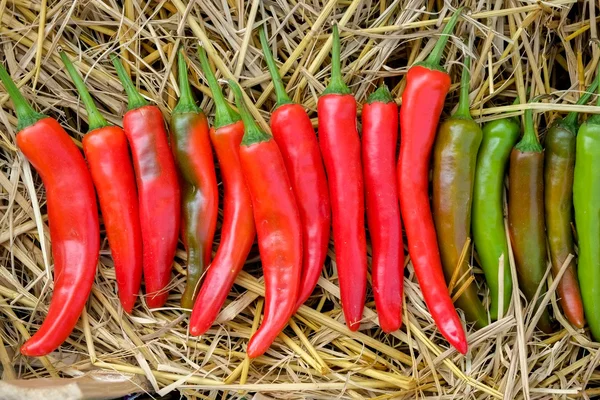 Pimentas frias para venda no mercado — Fotografia de Stock