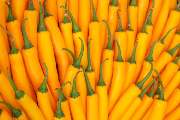 Chilischoten zum Verkauf auf dem Markt — Stockfoto