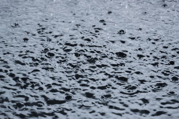 Gotas de chuva ondulando em uma poça — Fotografia de Stock