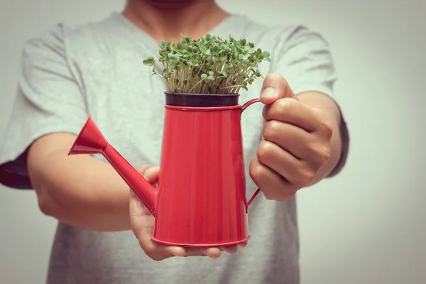 Manos sosteniendo planta joven con efecto de filtro estilo vintage retro —  Fotos de Stock