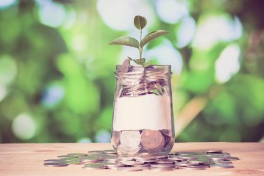 mon paralar dışarı büyüyen yatırım kavramı bitki için tasarruf