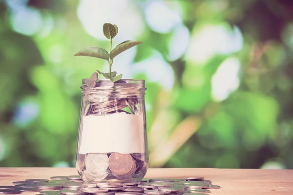 월 동전에서 성장 하는 투자 개념 식물에 대 한 비용을 절감 — 스톡 사진