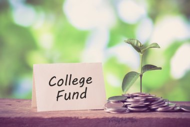 mon paralar dışarı büyüyen yatırım kavramı bitki için tasarruf