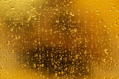 Altın yağmur arka plan