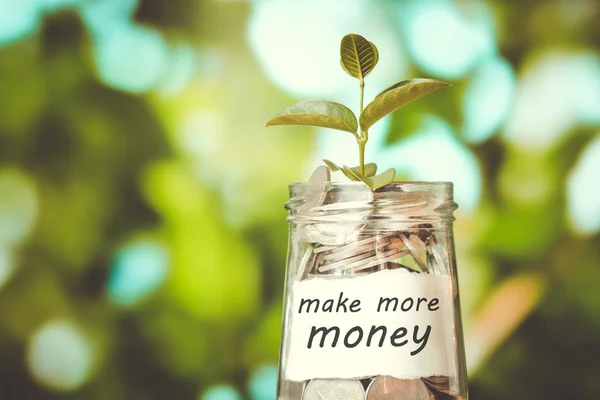 Geld besparen voor investeringen concept plant groeit uit munten mon — Stockfoto