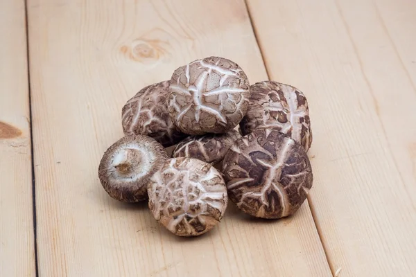 Shiitake mantar sağlıklı gıda ve onlar bir antioxidan var. — Stok fotoğraf