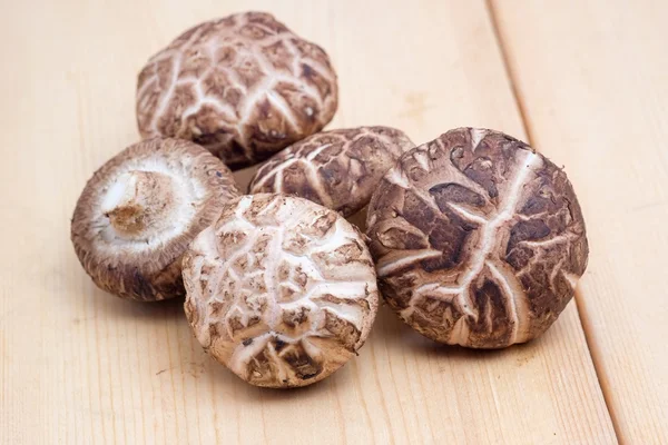 Shiitake mushrooms is a healthy food and they have an antioxidan — Stock Photo, Image