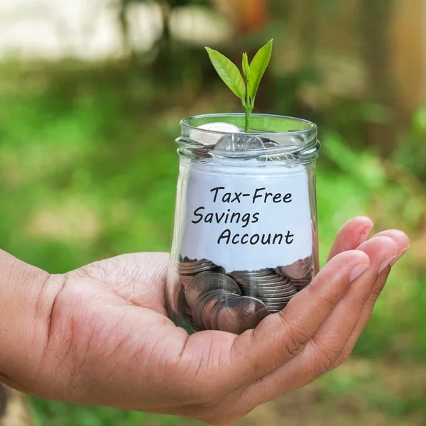 Économiser de l'argent pour le concept d'investissement plante poussant à partir de pièces — Photo
