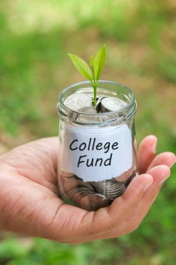 paralar dışarı büyüyen yatırım kavramı bitki için tasarruf