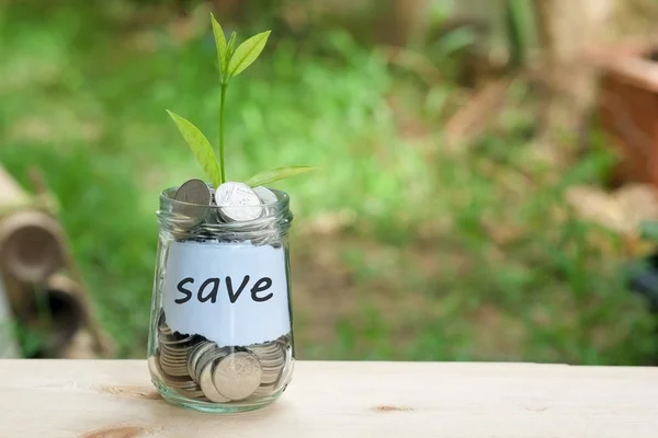 Save money for investment concept plant growing out of coins — Stock Photo, Image