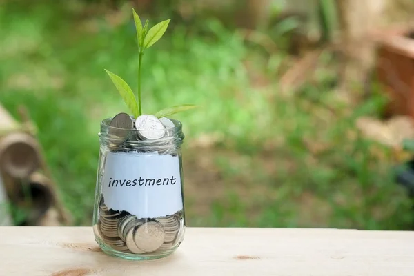 Ahorrar dinero para la planta de concepto de inversión que crece a partir de monedas —  Fotos de Stock