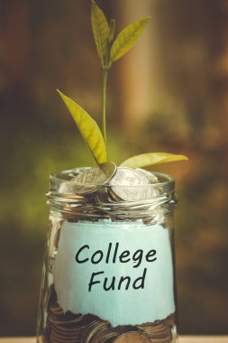 paralar zekâ dışında büyüyen yatırım kavramı bitki için tasarruf