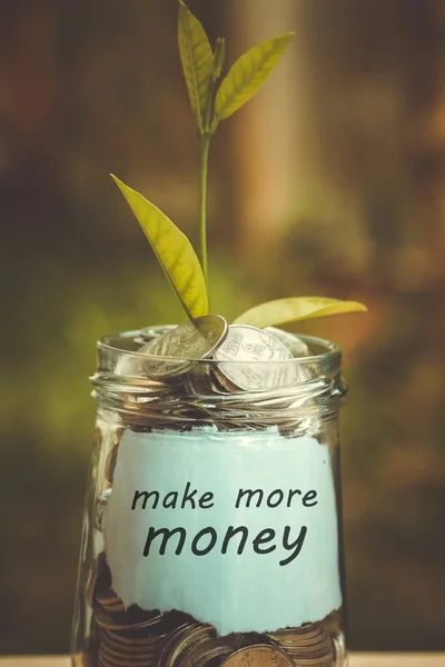 Save money for investment concept plant growing out of coins wit — Stock Photo, Image