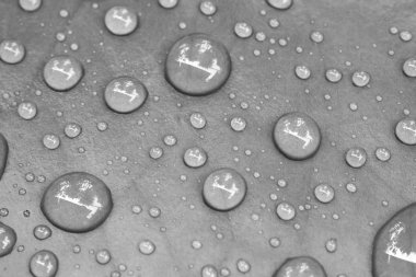 blabk ve beyaz Su damlacıkları yapraklarda