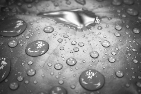 Gouttelettes d'eau blabk et blanches sur les feuilles — Photo