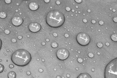 blabk ve beyaz Su damlacıkları yapraklarda