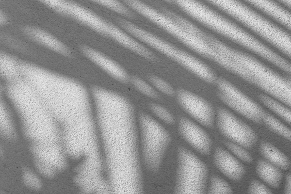 Textura Fundo Abstrata Preto Branco Folhas Sombras Uma Parede Concreto — Fotografia de Stock
