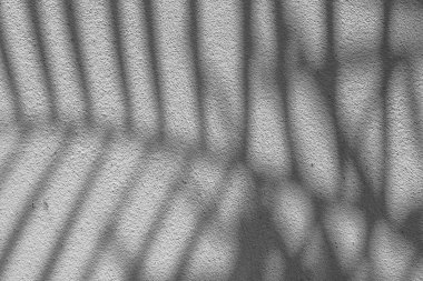 Beton bir duvardaki gölge yaprağının siyah ve beyaz soyut arkaplan dokusu.