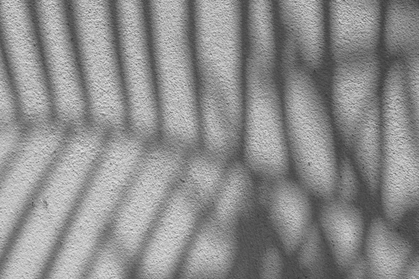 Textura Fundo Abstrata Preto Branco Folhas Sombras Uma Parede Concreto — Fotografia de Stock