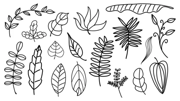 Vetor Doodle Mão Desenhado Folhas Set —  Vetores de Stock