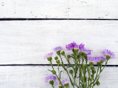 ahşap üzerine çiçek