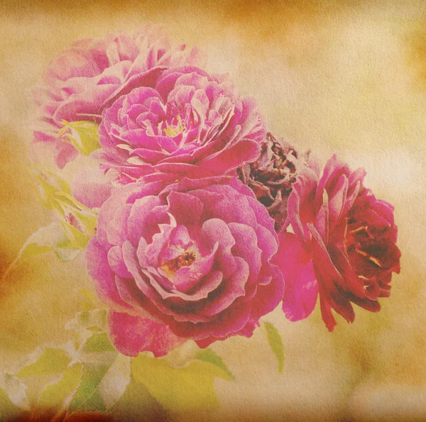 Παλαιόν Ιστορικόν χαρτί με ροζ λουλούδι — Φωτογραφία Αρχείου