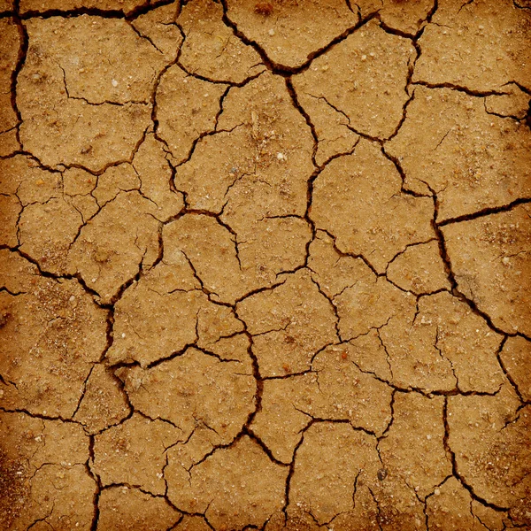 Lake bed drying up due to drought with retro filter effect — Stock Photo, Image