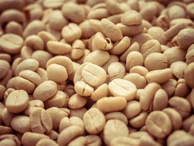 Yeşil kahve çekirdekleri makro filtre etkisi retro vintage tarzı ile