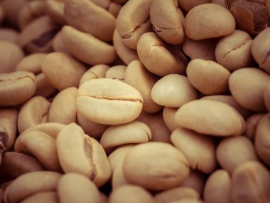 Yeşil kahve çekirdekleri makro filtre etkisi retro vintage tarzı ile