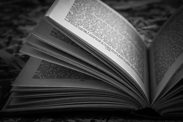 Black and white  Open book — Stock Photo, Image