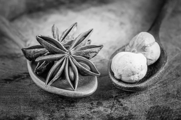 Black and white star anise — Stock Photo, Image