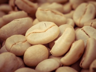 Yeşil kahve çekirdekleri makro filtre etkisi retro vintage tarzı ile