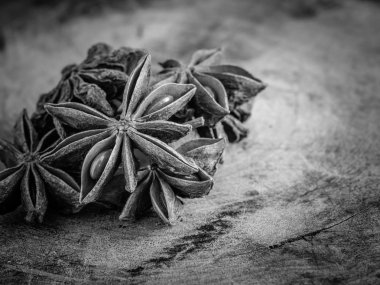  siyah ve beyaz yıldız anason