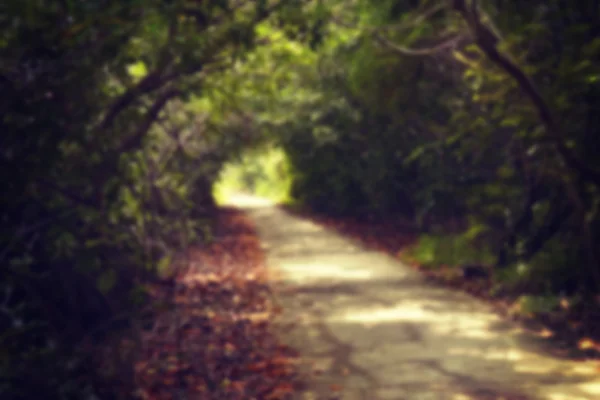 Blur Corridor Nature with filter effect retro vintage style — Stock Photo, Image