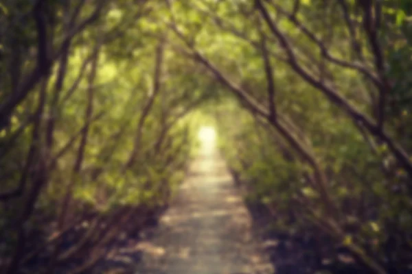Blur Corridor Nature with filter effect retro vintage style — Stock Photo, Image