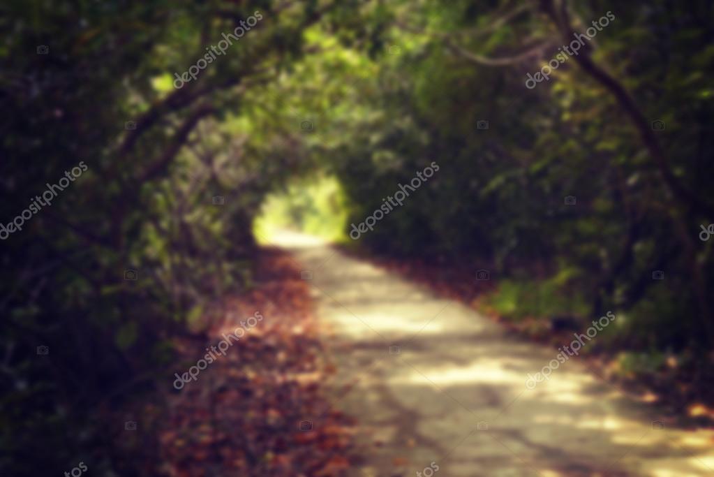 Blur Corridor Nature With Filter Effect Retro Vintage Style