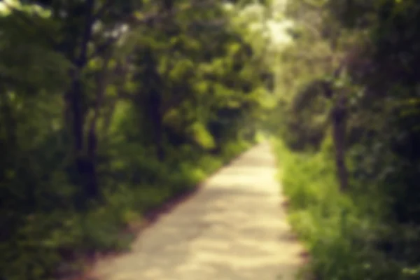 Blur Corridor Nature with filter effect retro vintage style — Stock Photo, Image