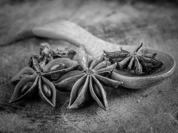 Anís estrellado blanco y negro —  Fotos de Stock