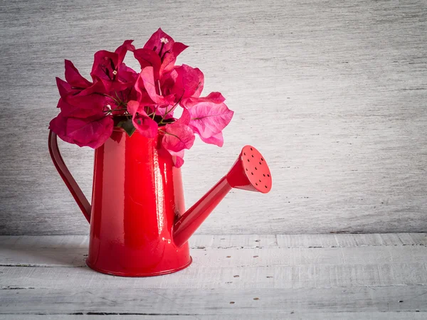 Watering can old retro vintage style — Stock Photo, Image