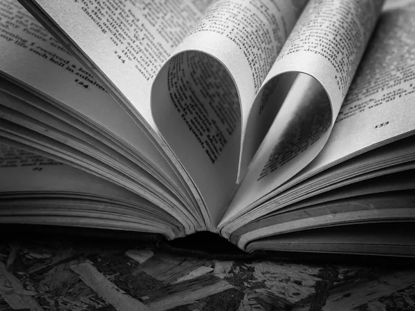Coeur d'amour noir et blanc dans un livre — Photo