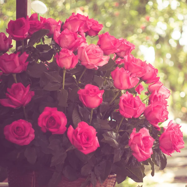 Flores rosa con efecto de filtro retro estilo vintage —  Fotos de Stock