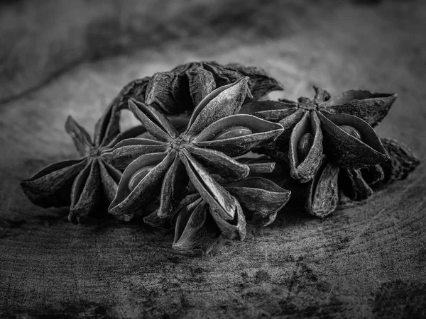 Black and white star anise — Stock Photo, Image